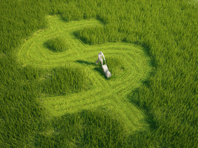 Prevent Over Irrigation