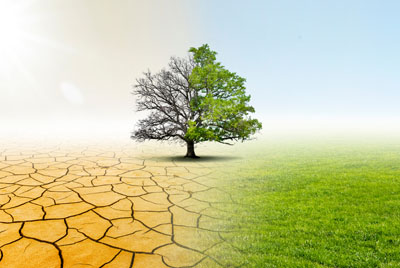 Prevent Under Irrigating